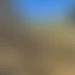 Area to be addressed in coming season