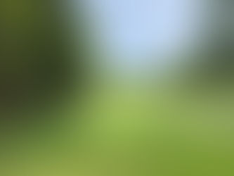 May 29th: Spring Update