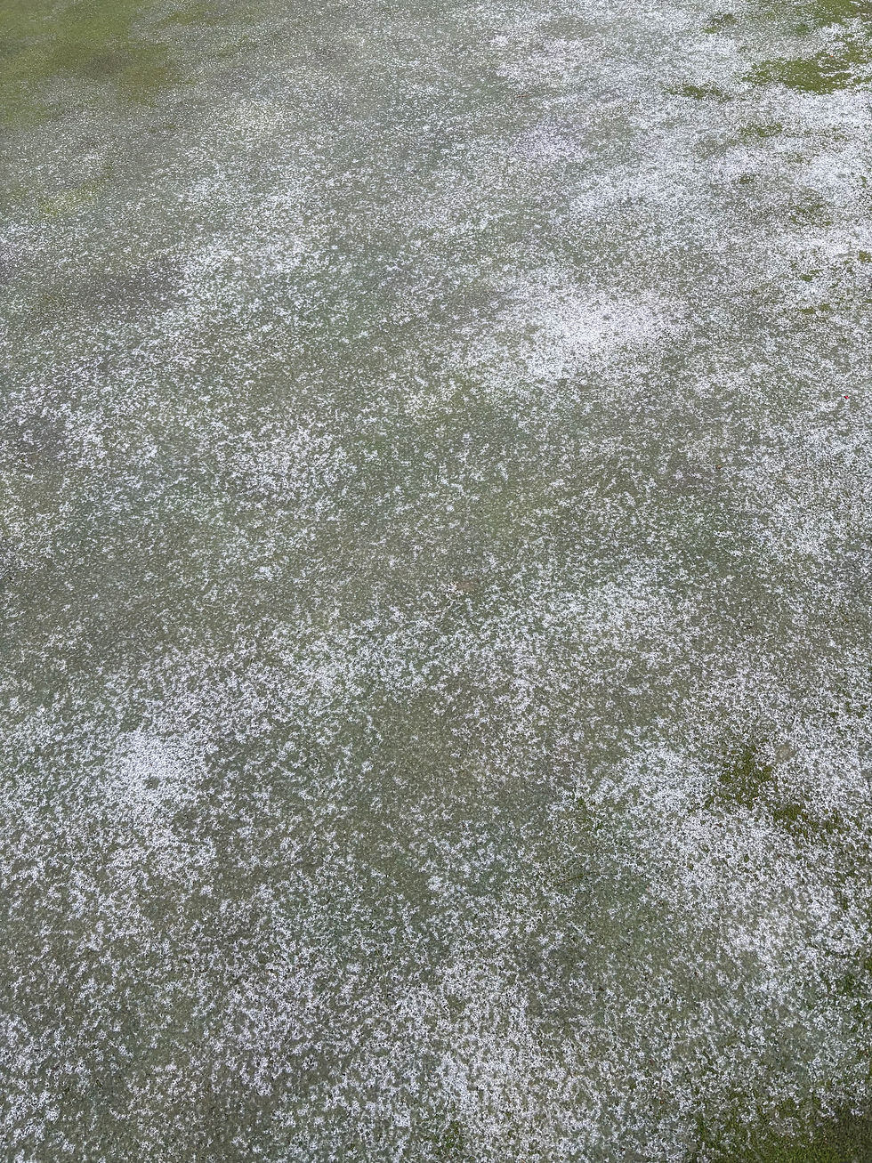 Aeration holes showing through ice