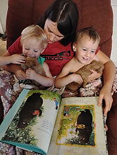 Reading time with the Labradoodle puppies