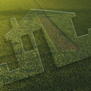 Make Your Home Green This St. Patrick's Day