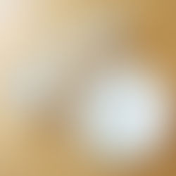 こどものための食器 おぎその国産強化磁器食器