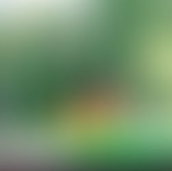 8月末までお休みなく営業します