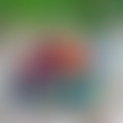 夏のお外遊びはこれ！バイキングトイズのはたらく車たち