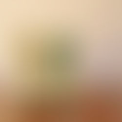 イカロスオリジナル包装紙ができました!