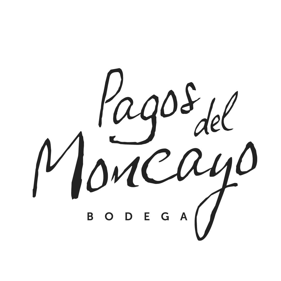 Bodega Pagos del Moncayo | Vino Sostenible| Enoturismo | Aragón