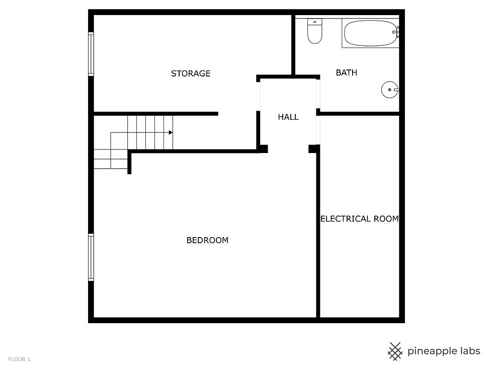 405 Blue Lake Trail Basement