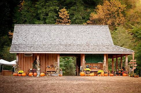 65f147eae9382dee9b0166131dfebada_PumpkinPatchBuildingMahaffyRanch.jpg
