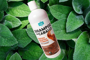 Shampoo orgánico estimula el crecimiento y combate la caída del cabello. Sin sales