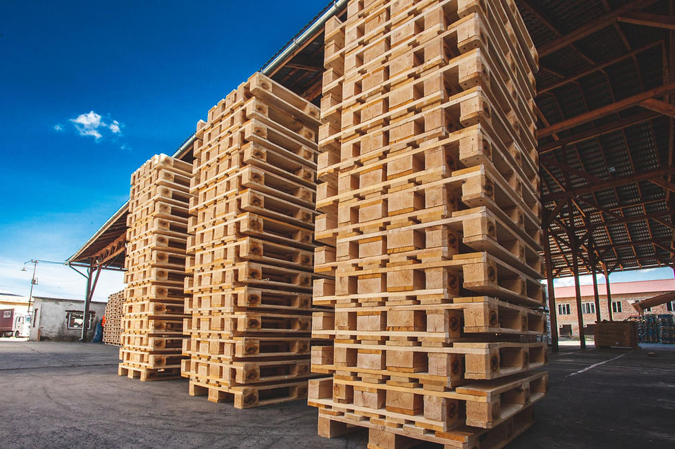 Best Pallet Services In Dublin