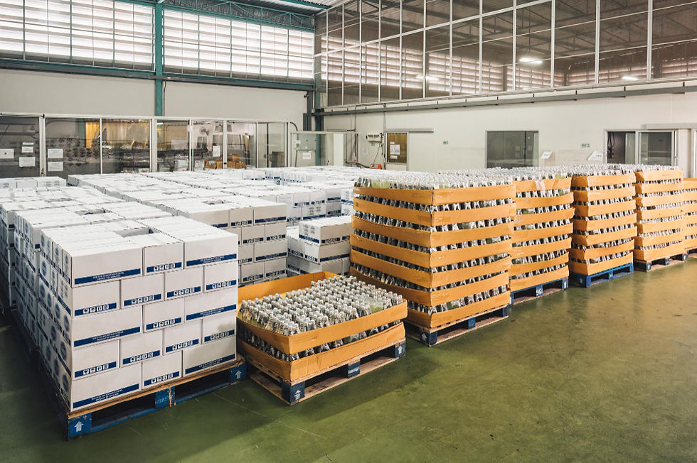 WOODEN pallet manufacturers