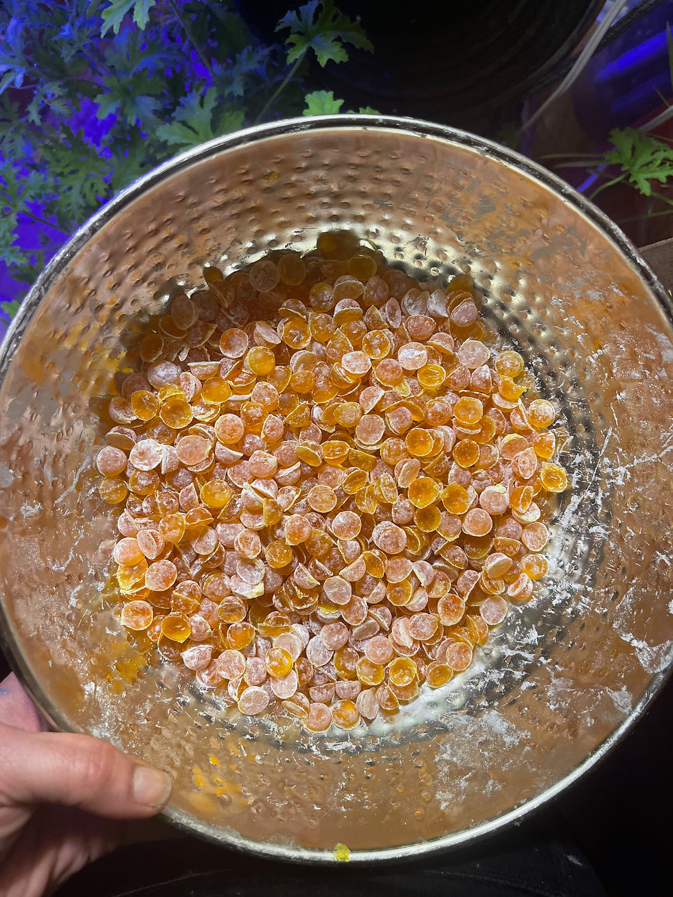 Thumbnail: Calendula Turmeric Soap Bits