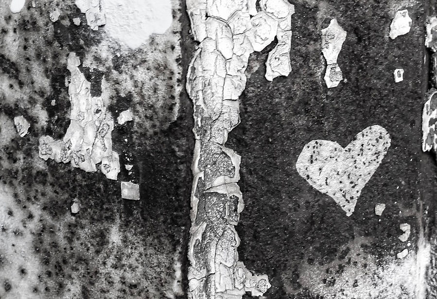 58376FC1-A839-4CFD-ACDC-E95CB6578725 2.JPG