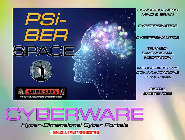 PSiBERSPACE.png