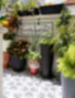 Garden entry with custom tiles and lush plantings at Miami home