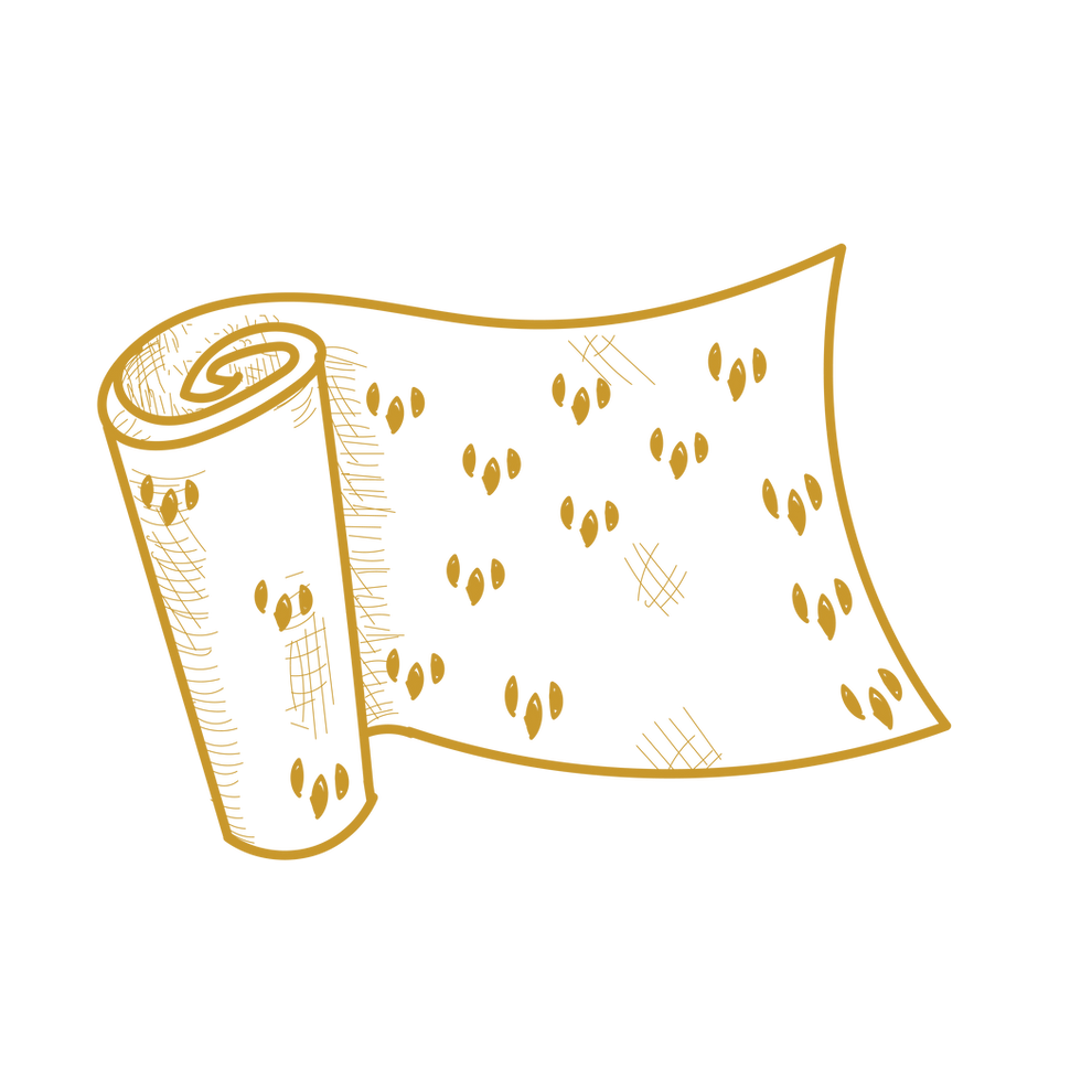 Simple line illustration of a rolled parchment scroll unrolling to the right, decorated with small scattered markings, drawn in a light golden outline on a white background.