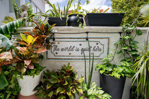 Lush outdoor patio with layered greenery, potted plants, and relaxed seating, styled for a modern Miami interior