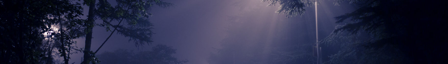artem-kovalev-jGN7JUKZcU0-unsplash.jpg