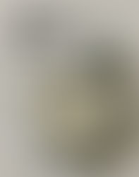 Die Fakten, die zum Nachdenken bringen