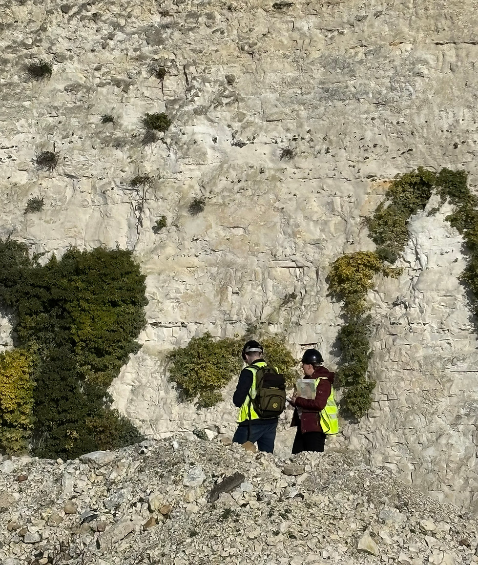 Northfleet Chalk pit site.JPEG
