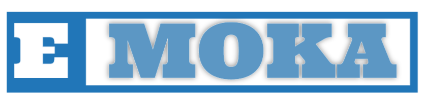 E-Moka V2_edited.png