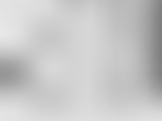 Todos os títulos aos três anos de Palavra Solta