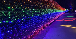 Wild Lights at the Elmwood Park Zoo