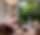 Screenshot_20250922-002234~2.png