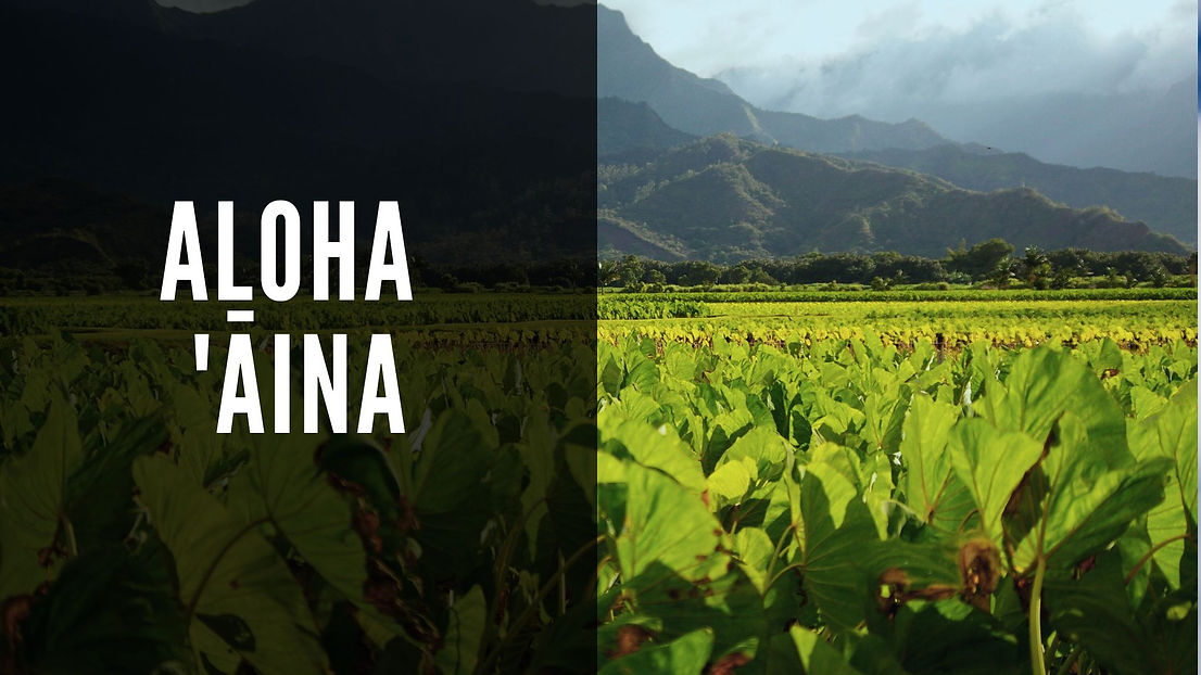 aloha-aina-header.jpg