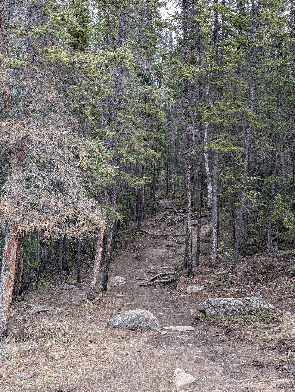 Summer Hiking and Nature Tour