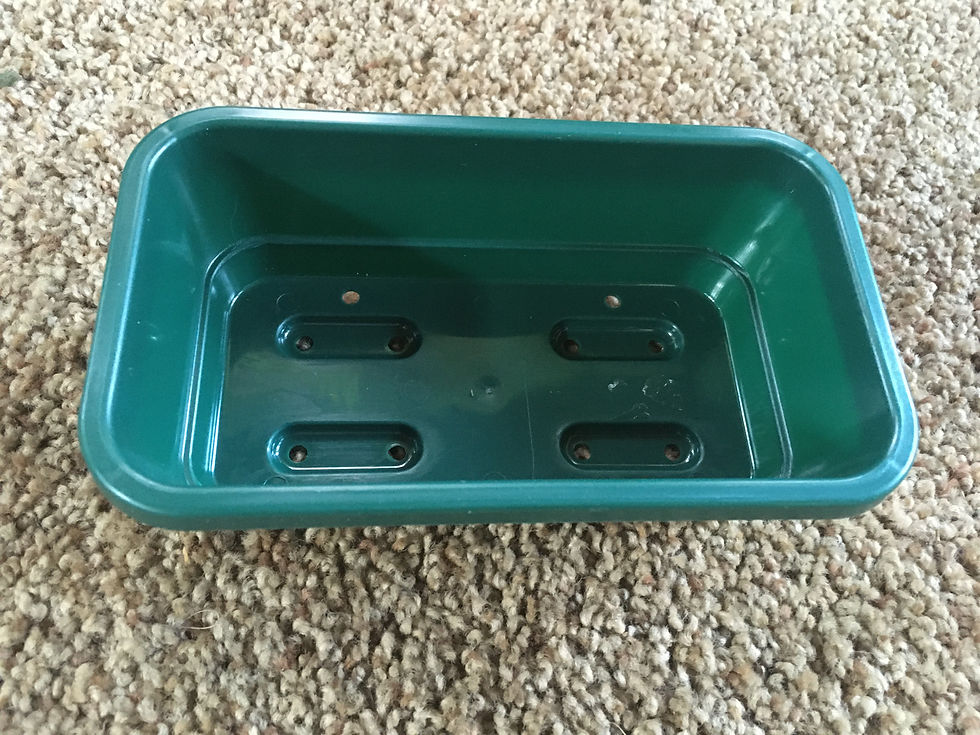 Thumbnail: Mini Seed Tray with holes
