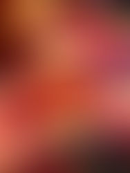 PIGS IN BLANKETS BAO