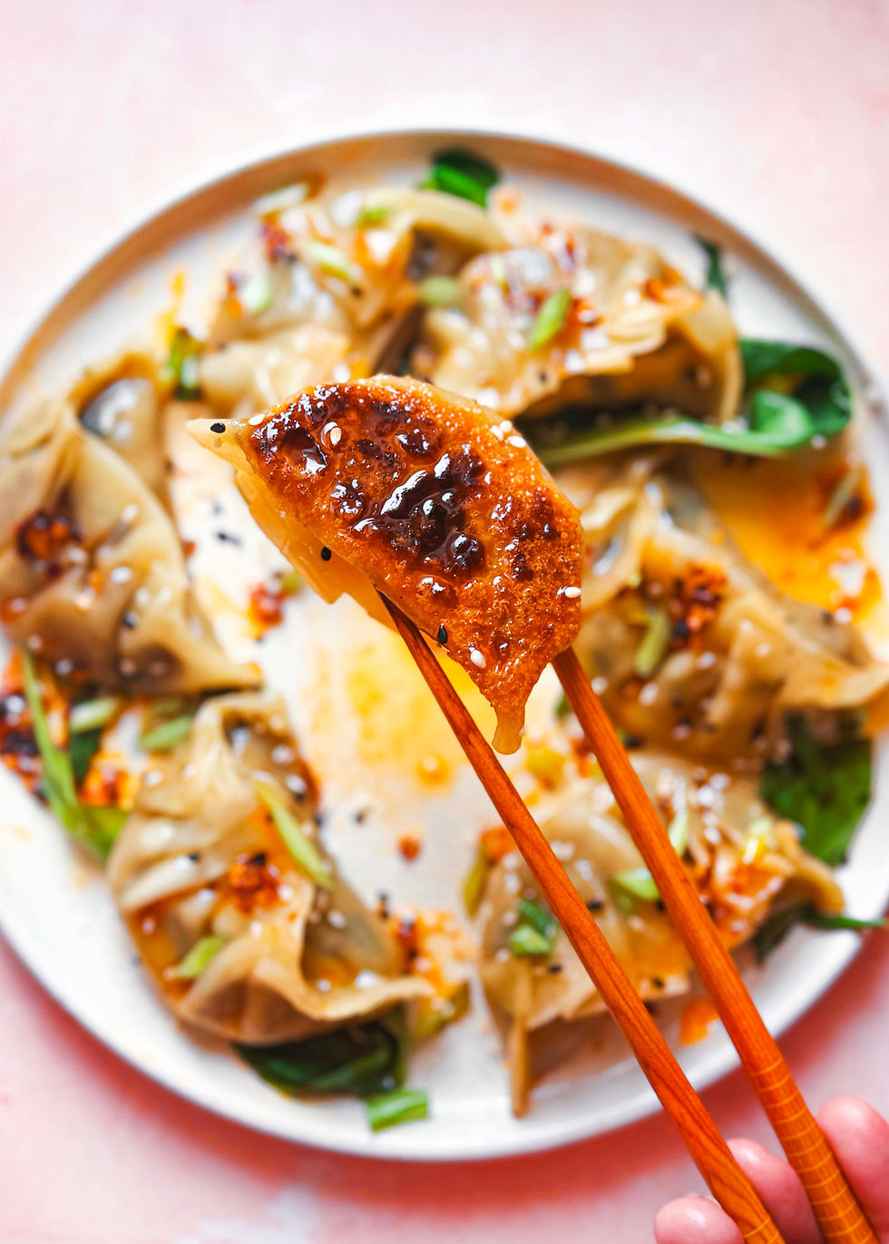Wild Garlic & King Oyster Mushroom Gyoza