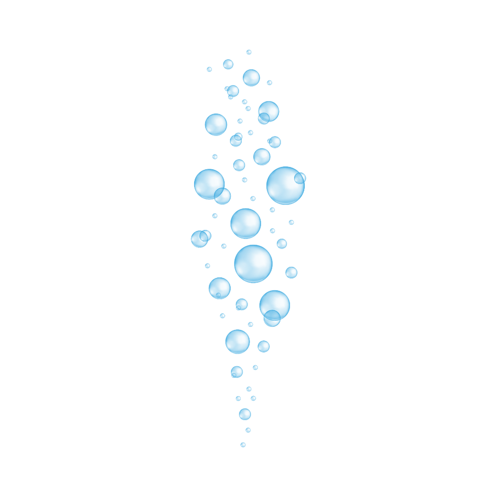 Color 1 (2).png