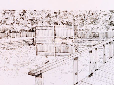 Discovering the Art of Tracing: A Pathway to Improve and Enjoy Drawing