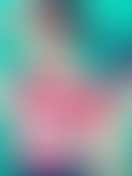 Recensione a "Pacchetto completo" di Stefania Fiorin