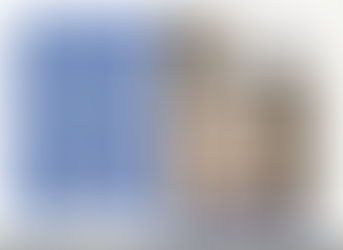 Recensione a "Il Vaso Di Bemberly", di Daniela Alibrandi