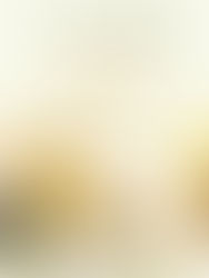 "Silvia delle Sibille" di Luisa Mazzocchi