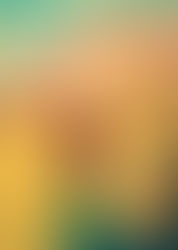 Recensione a "Ali di sabbia"