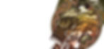 geisha.jpg