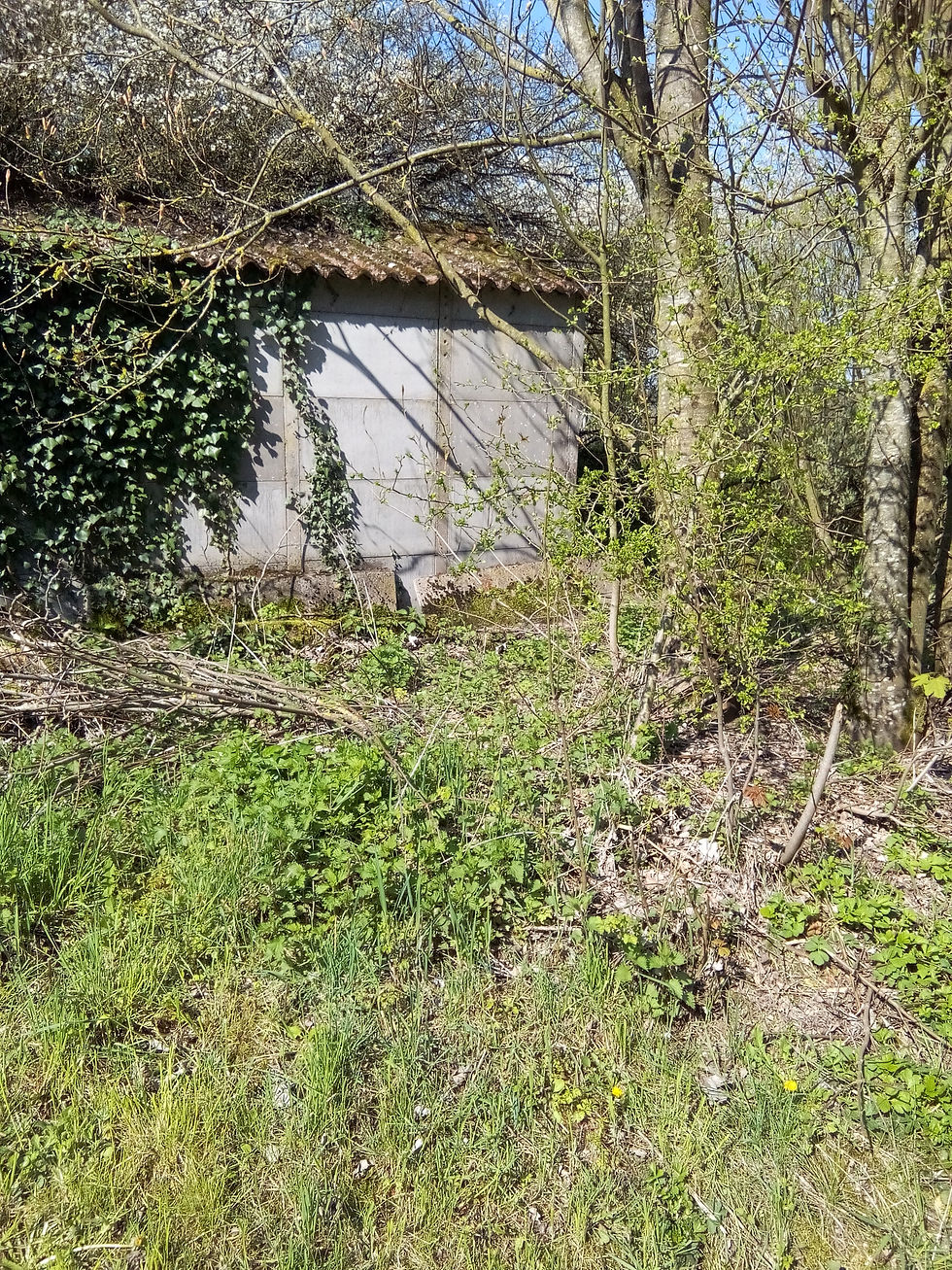 Photo du garage à démolir 2