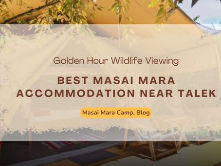 Top Budget Hotels in Maasai Mara National Reserve for Indian Travelers