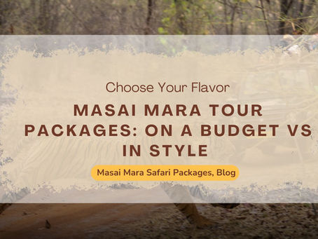 Budget Masai Mara Safari Packages: Affordable, Adventurous, and Real