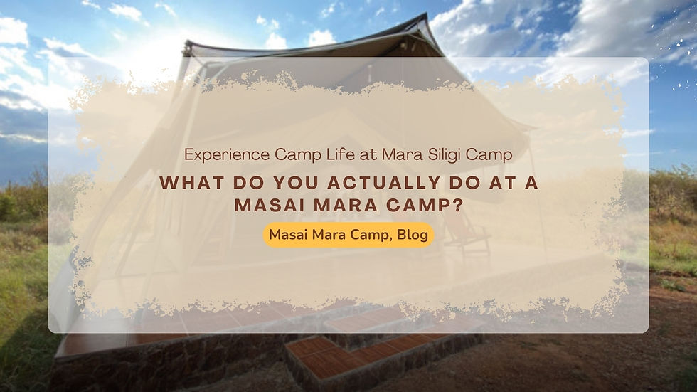 How Can You Experience the Great Wildebeest Migration From a Talek Camp?
