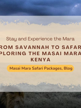 Best Seasons to Plan Masai Mara Safari Tours