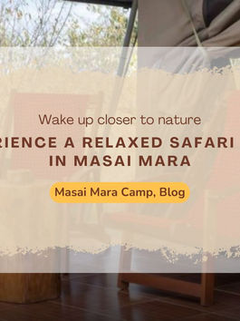 Relax and Reconnect with Nature at Mara Siligi Camp