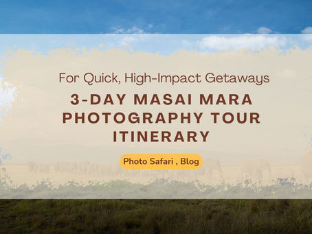 Your Ideal 3-Day Masai Mara Photography Tour Itinerary