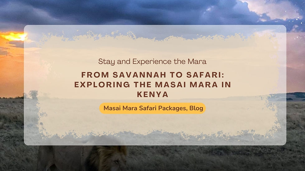 How Many Days Do You Need for a Masai Mara Safari?