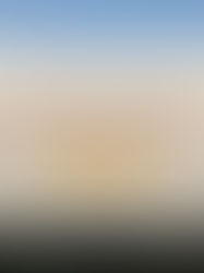 Why Mara Siligi Camp Enhances Your Masai Mara Safari Package