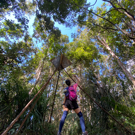 BUKIT CHOROCO 1106m, the lesser known peak at KKB